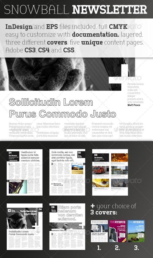Indesign Newspaper Templates Free Download