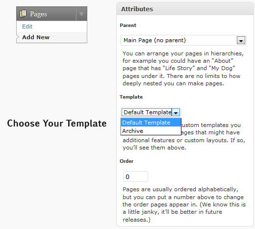 Page.php File Wordpress