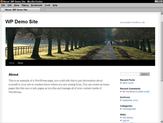 Page.php Wordpress Template