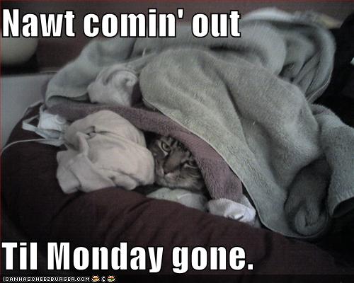 Tomorrow Is Monday Funny