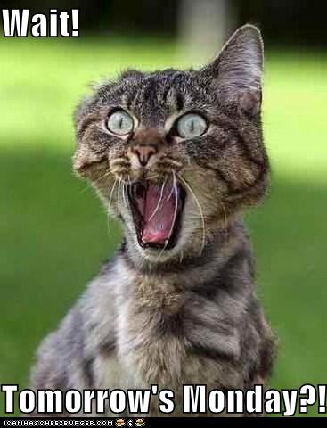 Tomorrow Is Monday Pictures